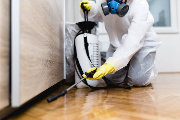 Best Best Pest Control Companies  in San Dimas, CA