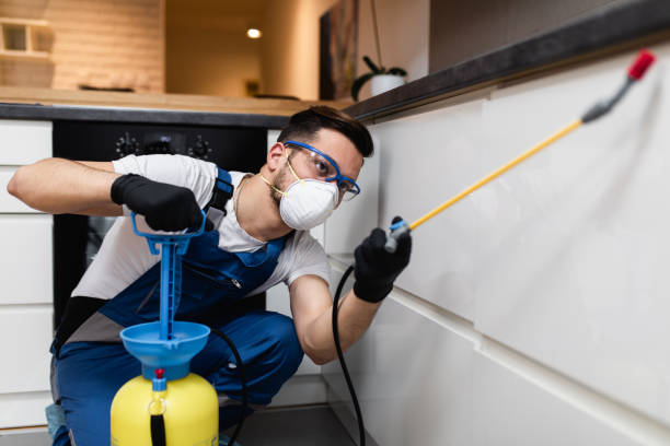 Best Flea Control Services  in San Dimas, CA