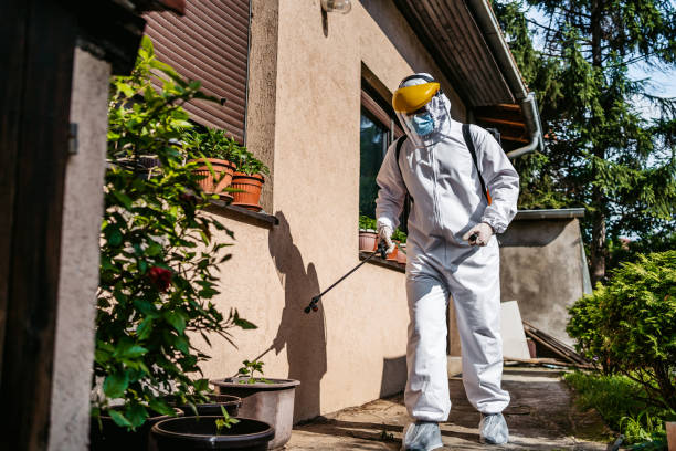 Best Pest Control for Businesses  in San Dimas, CA