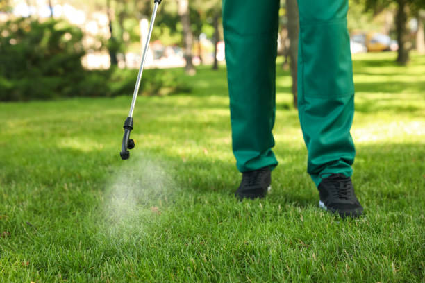Best Pest Control Near Me in San Dimas, CA