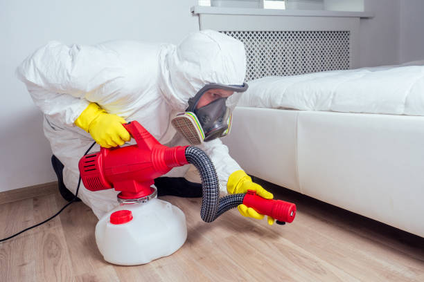 Trusted San Dimas, CA Pest Control Experts
