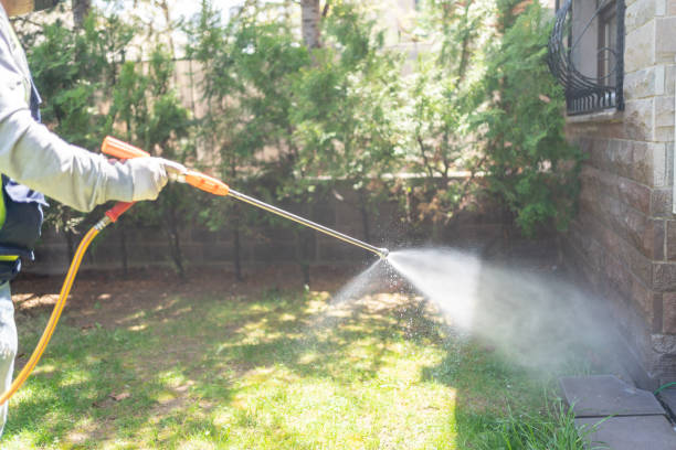 Best Bed Bug Extermination  in San Dimas, CA