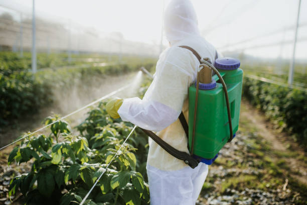Best Local Pest Control Services  in San Dimas, CA